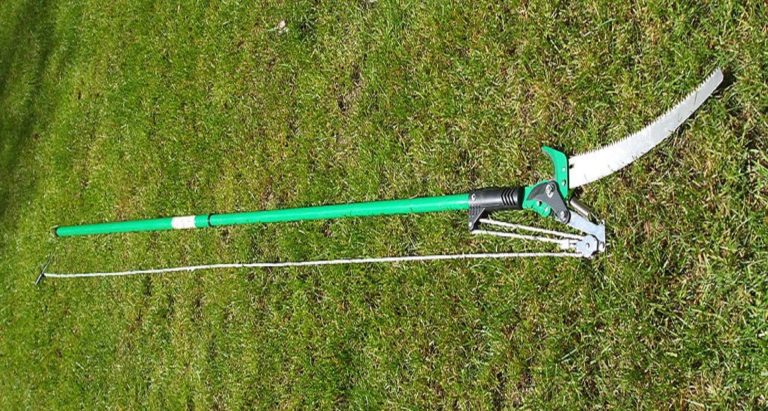 The Best Pole Saws: Our Expert Reviews of the Top Tools to Use